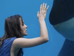 Post image for Emotional Truth Found in ‘Rust and Bone’