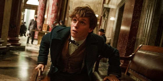 Post image for ‘Fantastic Beasts’ re-kindles Potter magic…kinda