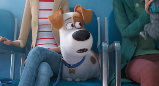 Post image for ‘The Secret Life of Pets 2’ worth maybe a nice pat on the head