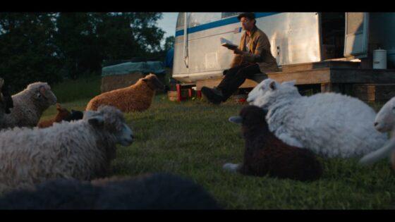 Post image for “The Sheep Detectives” is Flocking Fun