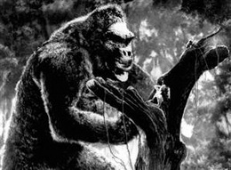 king kong 1933 fay wray