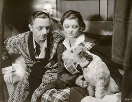 william powell myrna loy asta the thin man