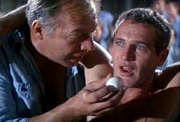 cool hand luke paul newman