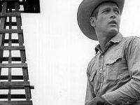 hud paul newman 1963