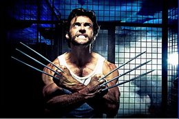 wolverine 2009