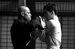 The Matrix Reeves Fishburne kung fu martial arts Mr. Smith