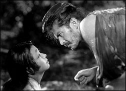 rashomon