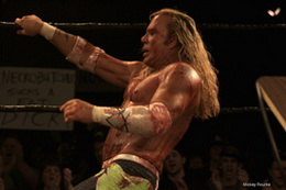 the wrestler mickey rourke