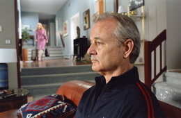 broken flowers bill murray 2005