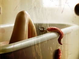 slither 2006